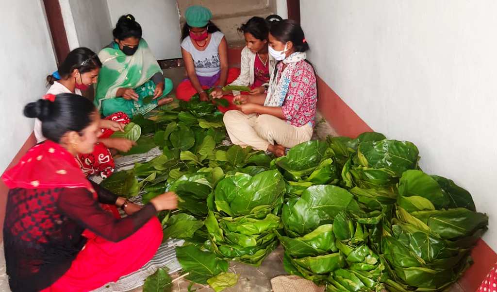 हराउन थाल्यो दुनाटपरी